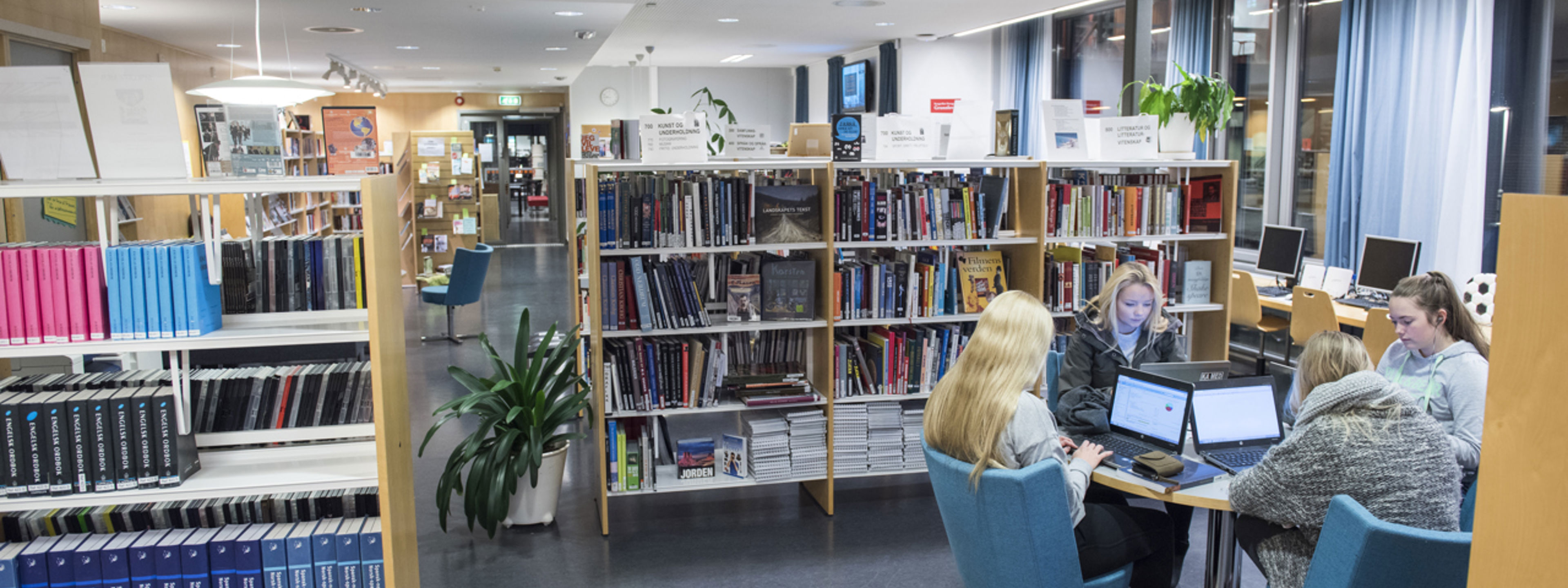 Fire jenter sit rundt eit bord og jobbar på pc på skule biblioteket